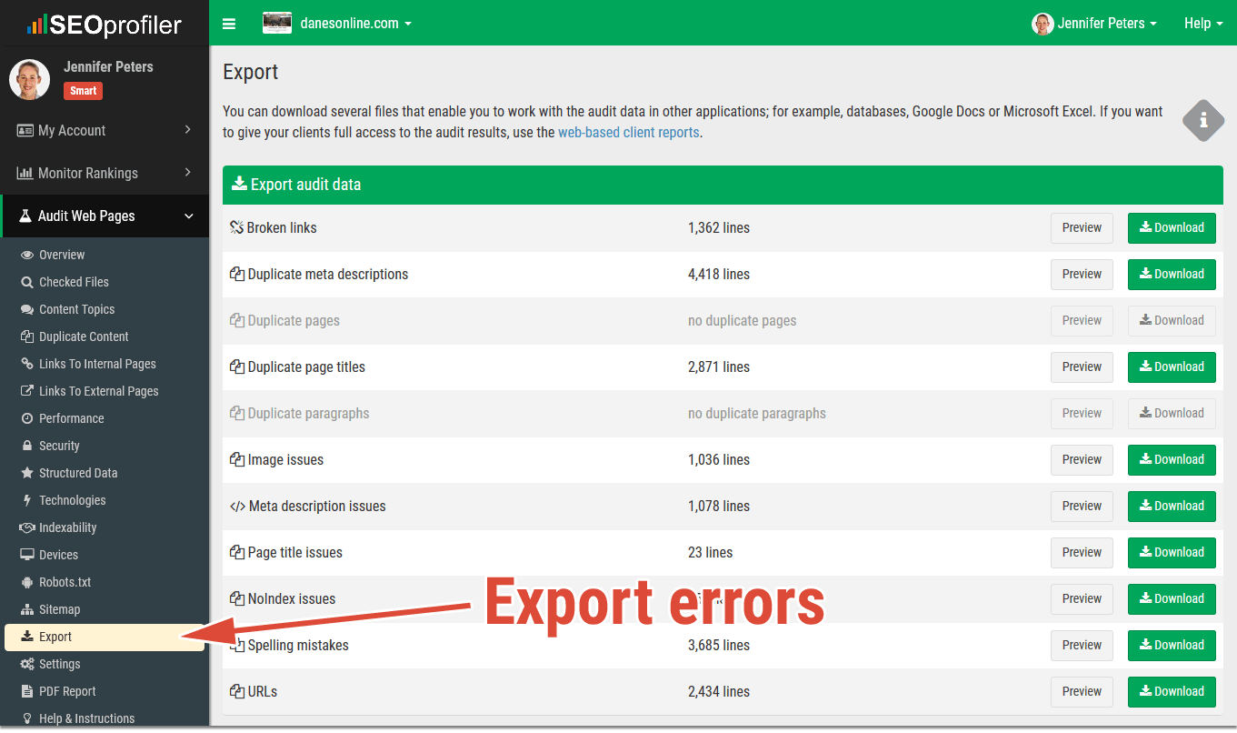 SEO audit: export pages with issues