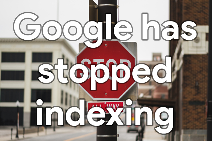 Google has stopped indexing