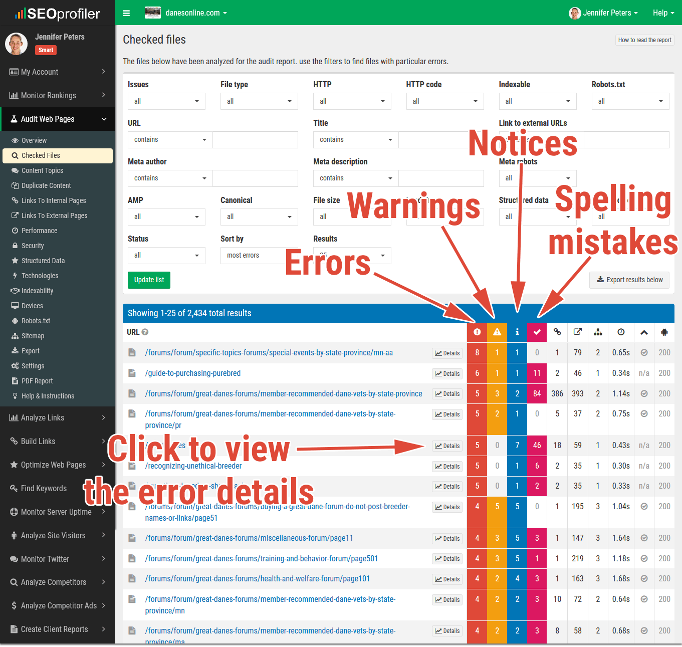 SEO audit: pages with errors, warnings, notices and spelling mistakes
