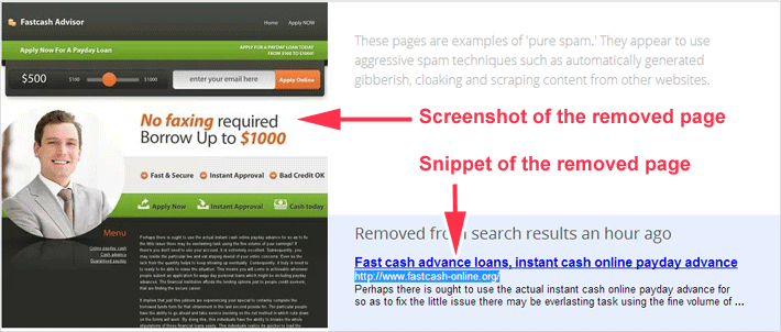 web spam example two